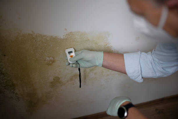 Best Residential Mold Removal  in Lake Junaluska, NC
