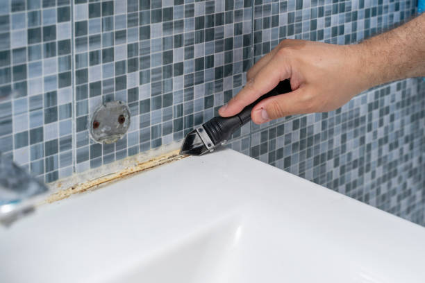 Best Office Mold Removal Services  in Lake Junaluska, NC