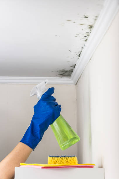 Best Crawl Space Mold Removal  in Lake Junaluska, NC